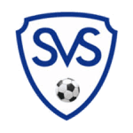 Sierning logo