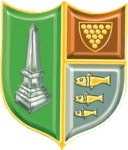 Bodmin Town logo
