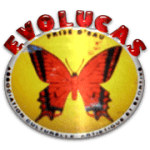Evolucas Lamentin