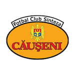 Sinteza Căuşeni logo