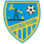 Petrolul Potcoava logo