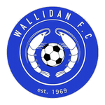 Wallidan logo