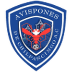 Chilpancingo logo
