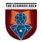 Diamond Rock logo