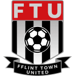 Flint City logo