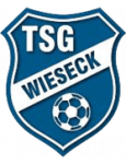 Wieseck U19
