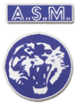 Vénissieux logo
